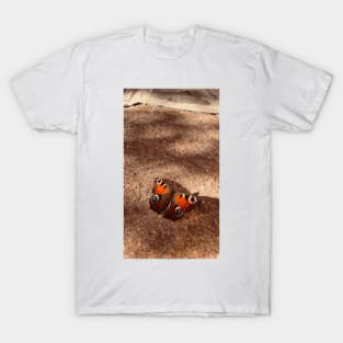 Cool Butterfly photo on a rocky ground T-Shirt